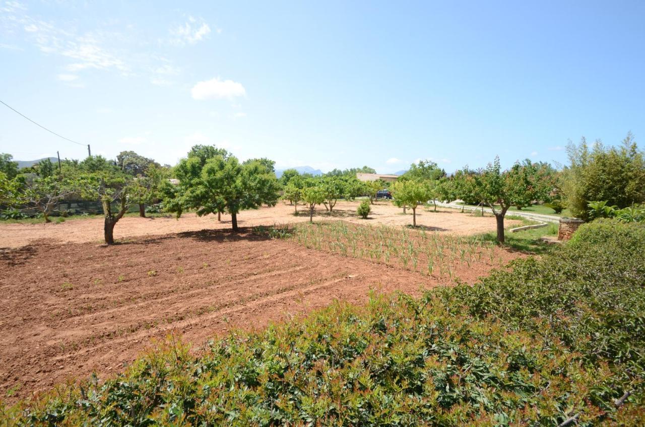Villa Can Pau, Pool And Garden Close To The Beach Port de Alcudia  Exterior foto
